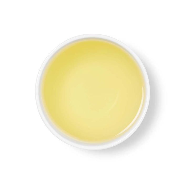 Chamomile Silken Pyramids