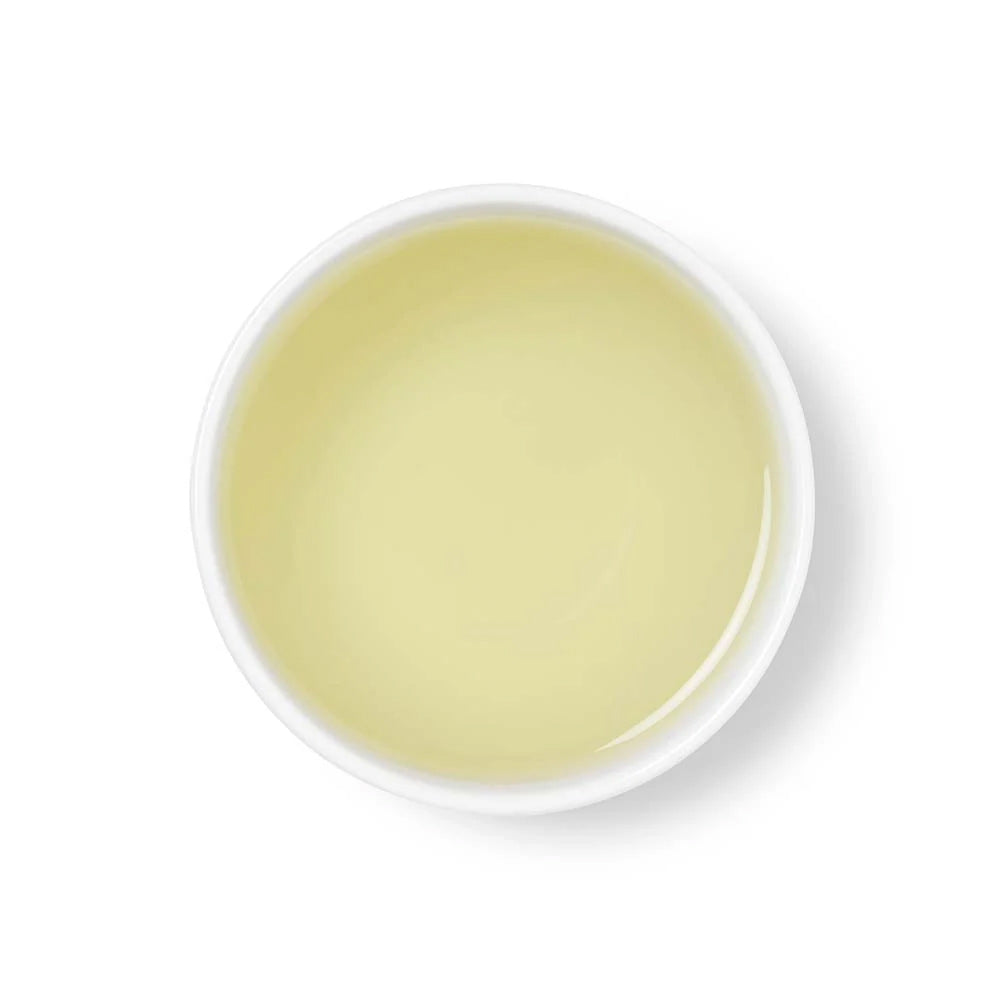 Jade Oolong Silken Pyramids