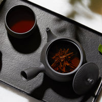 Japanese Kyusu Teapot and Cups Set - Black
