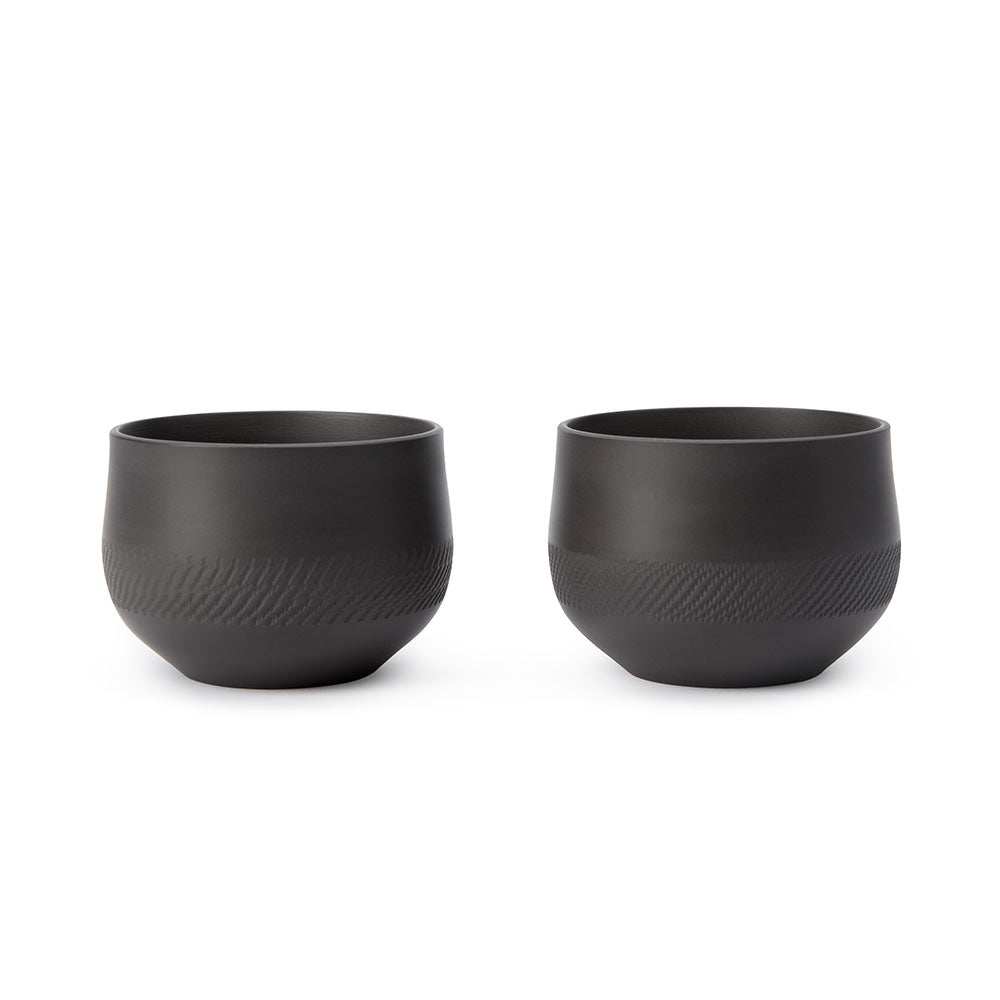 Japanese Kyusu Teapot and Cups Set - Black