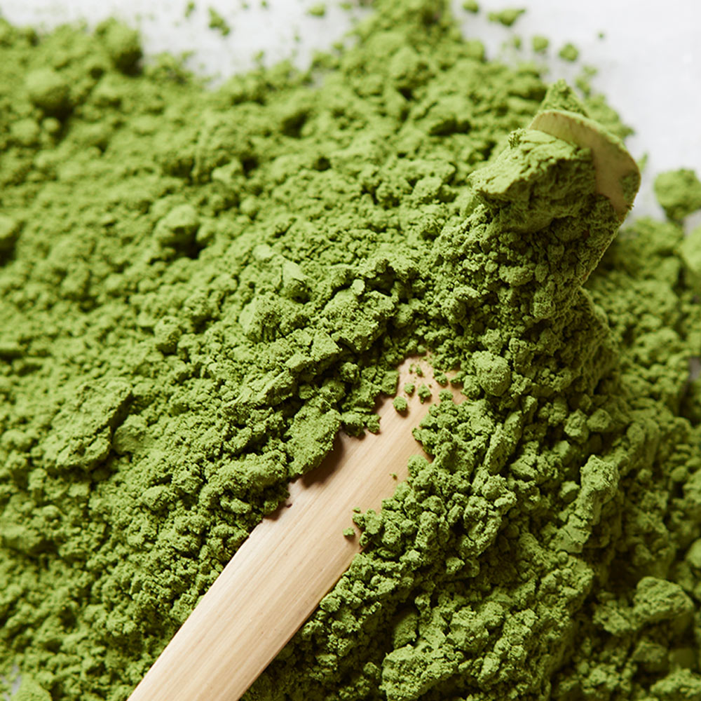 Matcha Whisk Holder - Aqua Blue