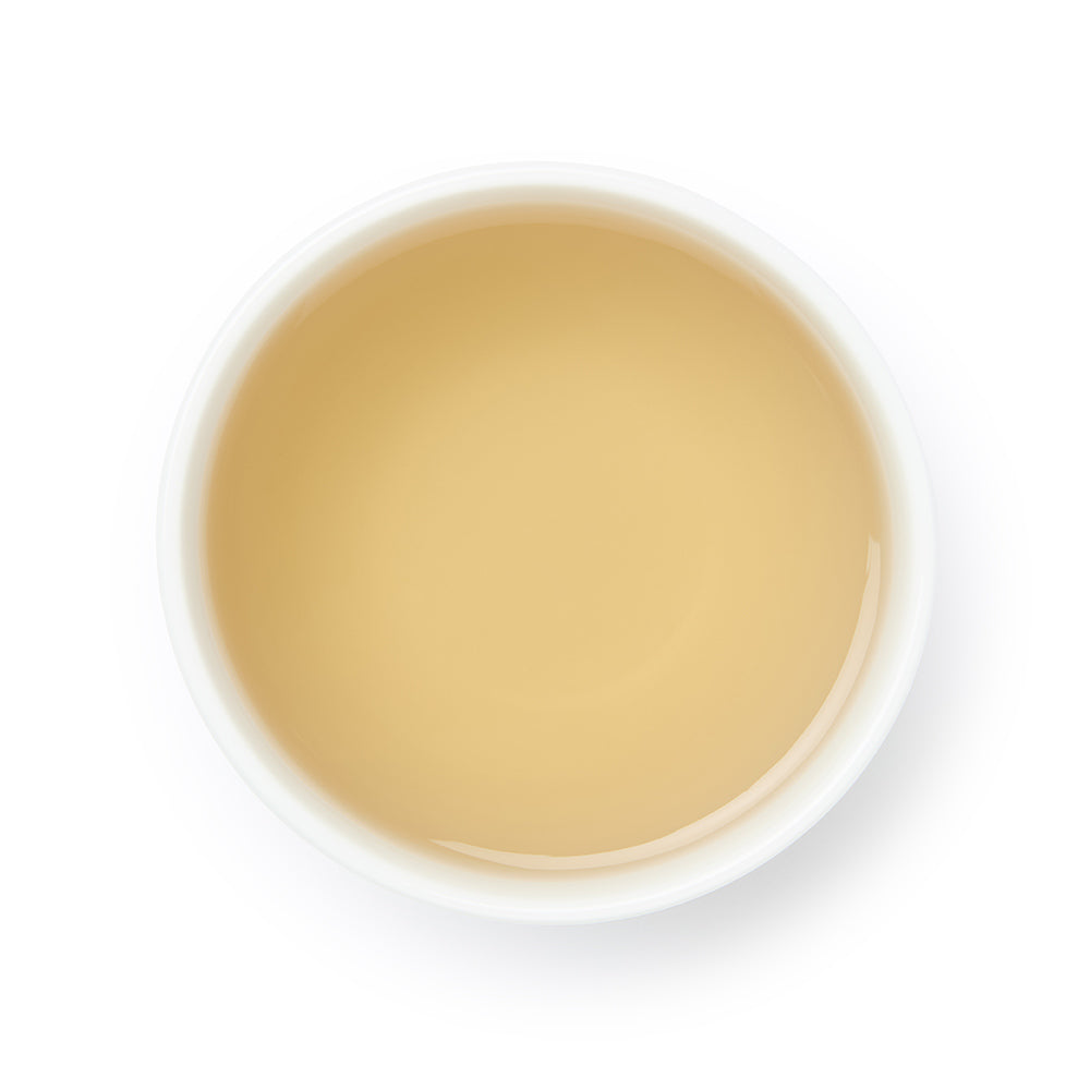 Midnight Rose By Matthew Williamson - 50g